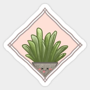 Haworthia Truncata in a Rectangle Frame Sticker